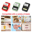 Niimbot B21 Wireless  Portable Pocket Thermal Label Printer with Bluetooth