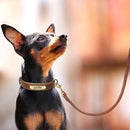 Leather Personalized Dog Collar Leash Custom Pet Name ID Collar Free Engraving