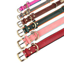 Leather Personalized Dog Collar Leash Custom Pet Name ID Collar Free Engraving