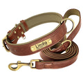 Leather Personalized Dog Collar Leash Custom Pet Name ID Collar Free Engraving