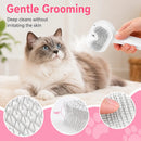 Steam Brush for Cats & Dogs